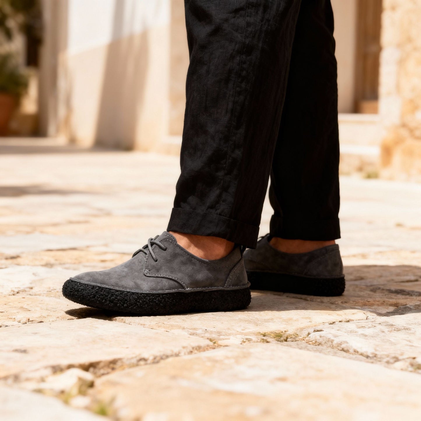 Titan Suede Shoes