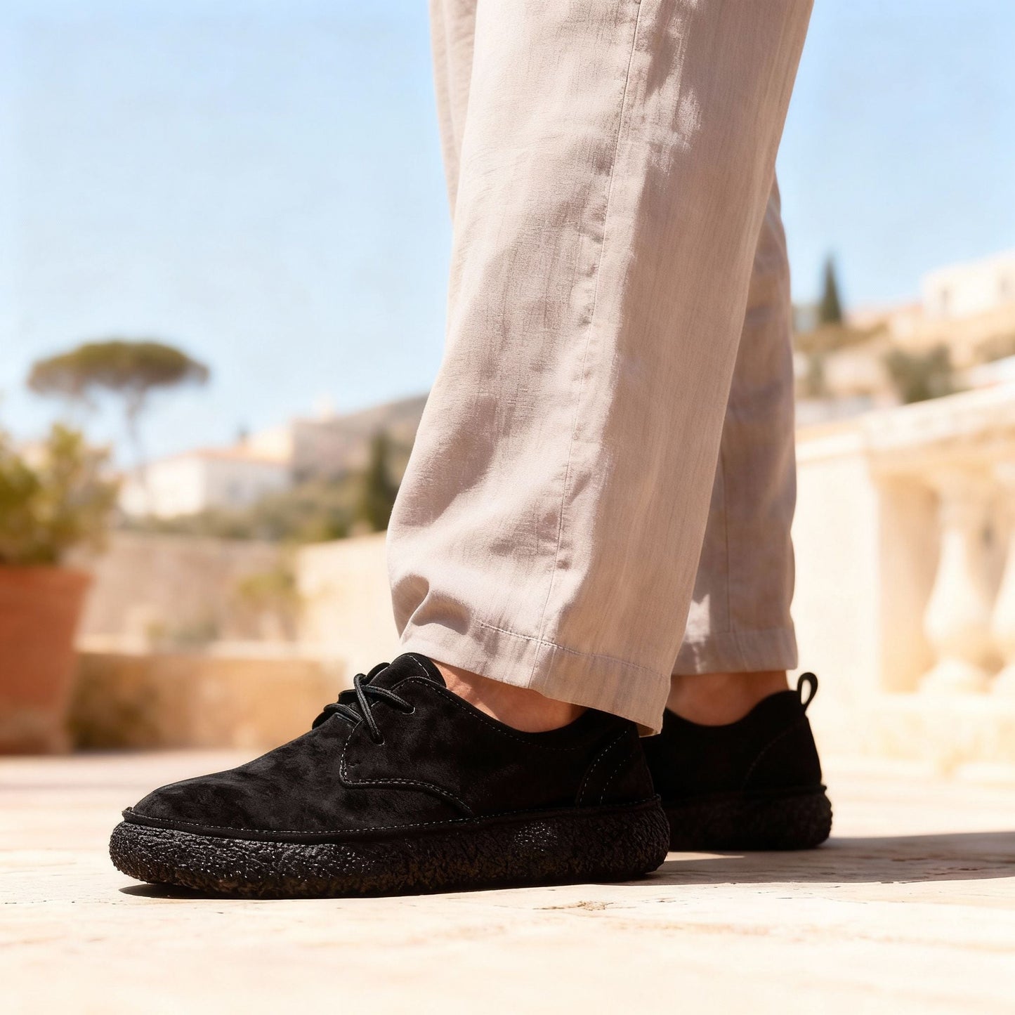 Titan Suede Shoes